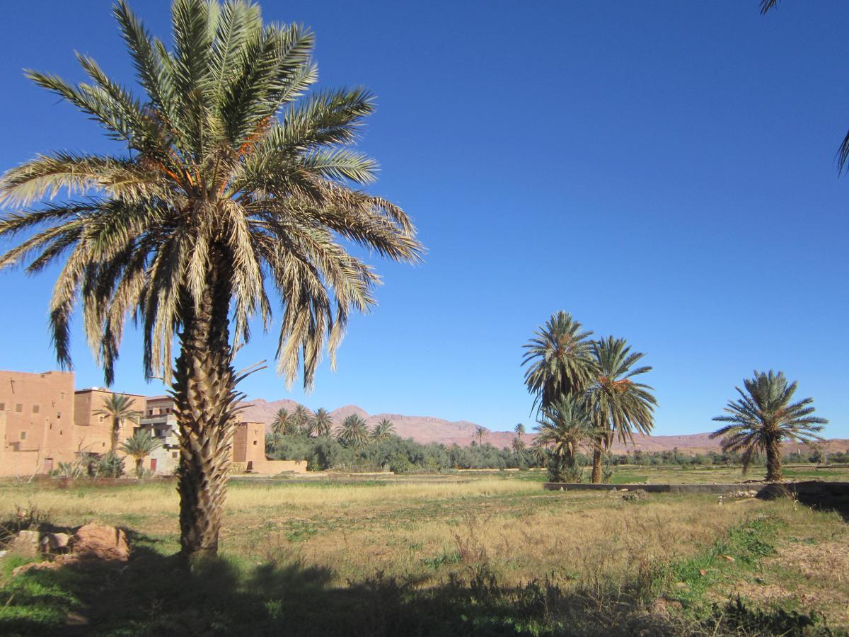 Riad Al Anwar Tinghir Ngoại thất bức ảnh